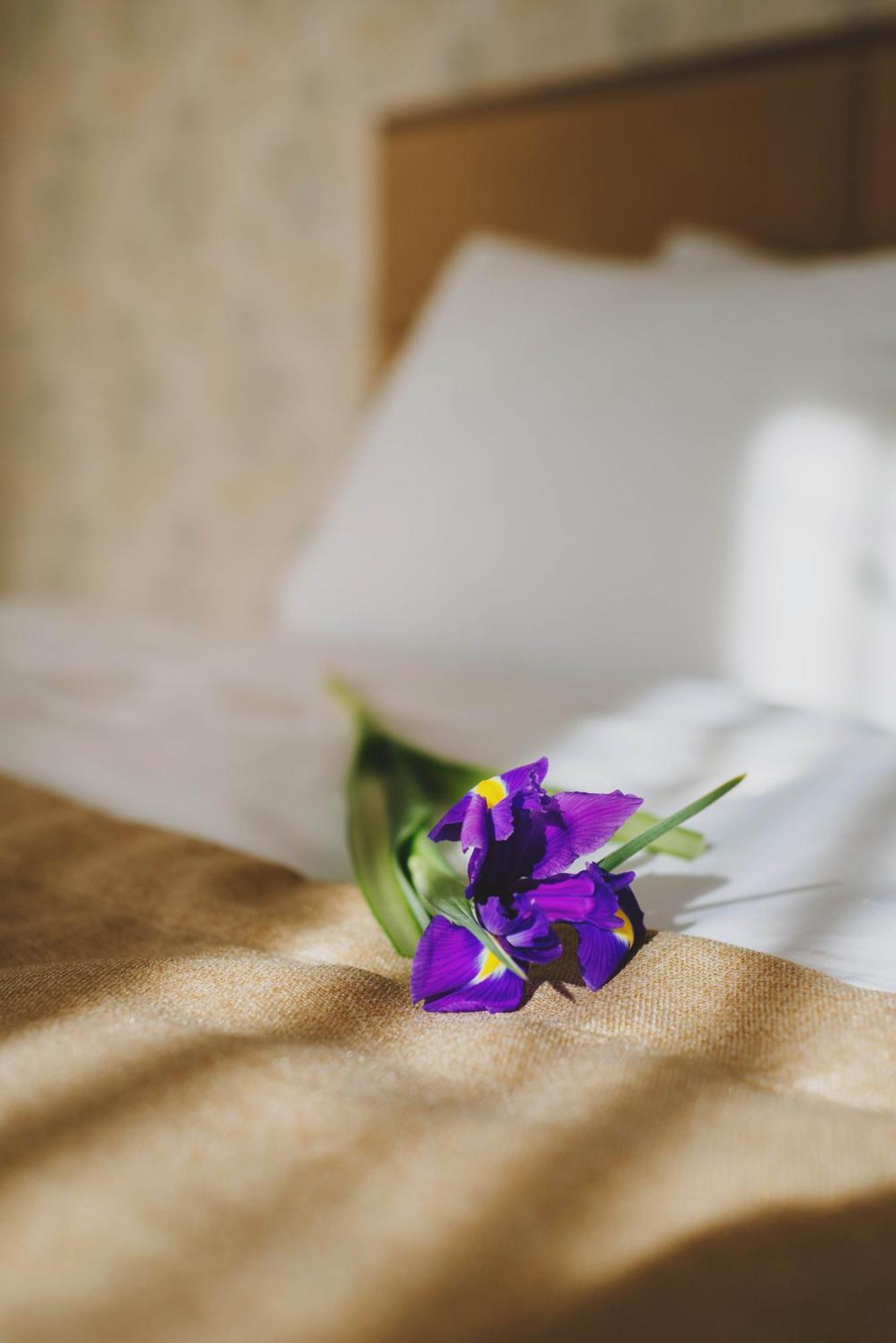 Hotel Alkor تريسكافيتس الغرفة الصورة